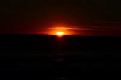 DSC_1295 (Large).JPG